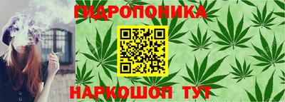 скорость Шахты