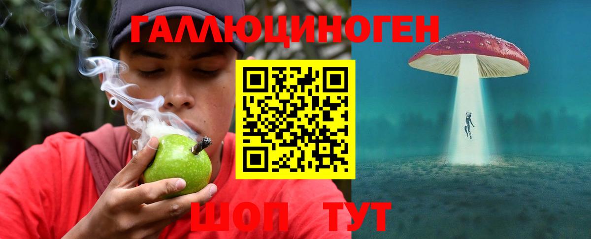 Галлюциногенные грибы Psilocybe  Вход с VPN  Нерюнгри  Псилоцибиновые грибы мухоморы 